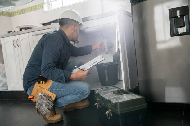 Best Plumbing Repair Near Me  in El Cenizo, TX