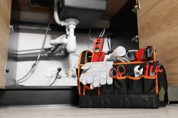 Best Affordable Plumber Near Me  in El Cenizo, TX