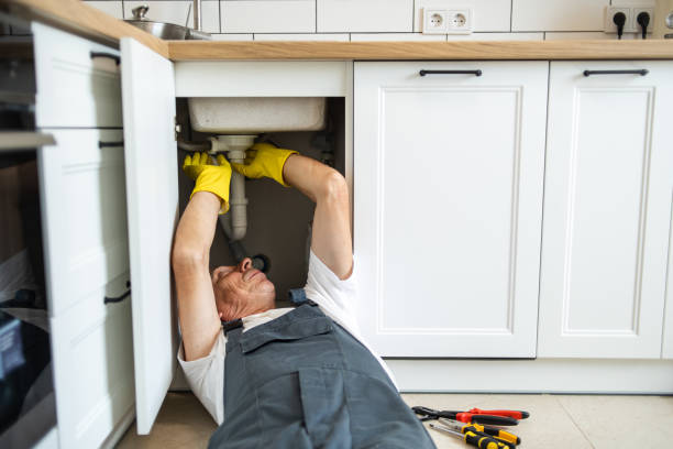 Best 24-Hour Plumber Near Me  in El Cenizo, TX