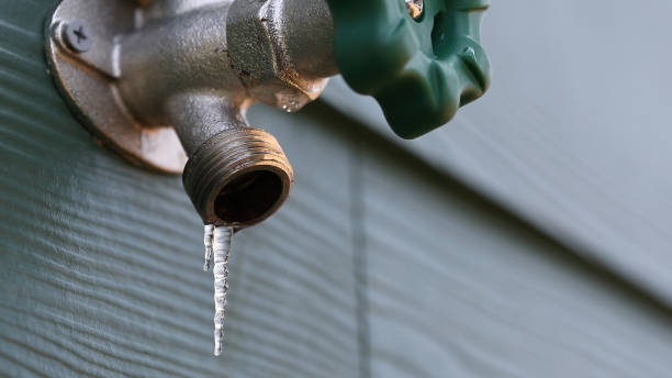 Best Residential Plumbing Services  in El Cenizo, TX